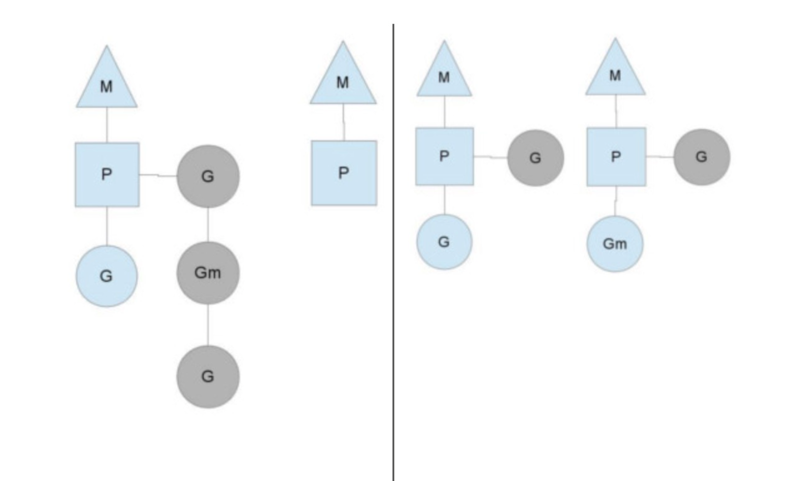 image-20230322142325237