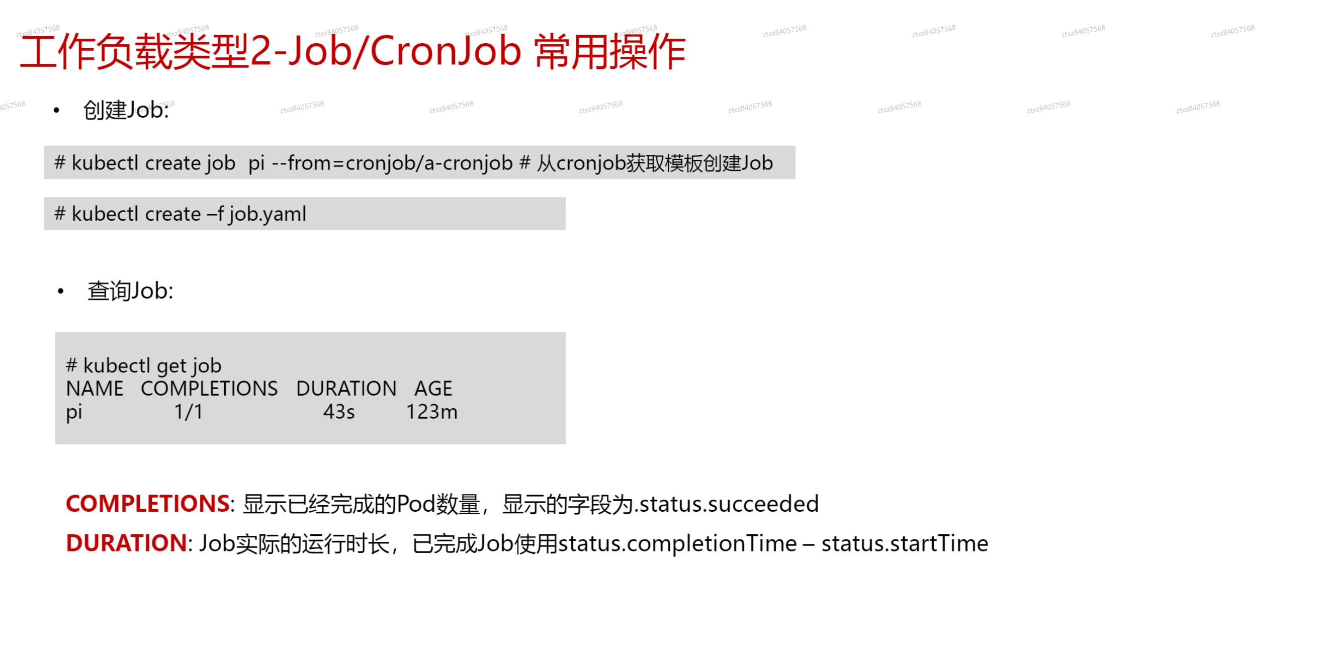 image-20241011191935628