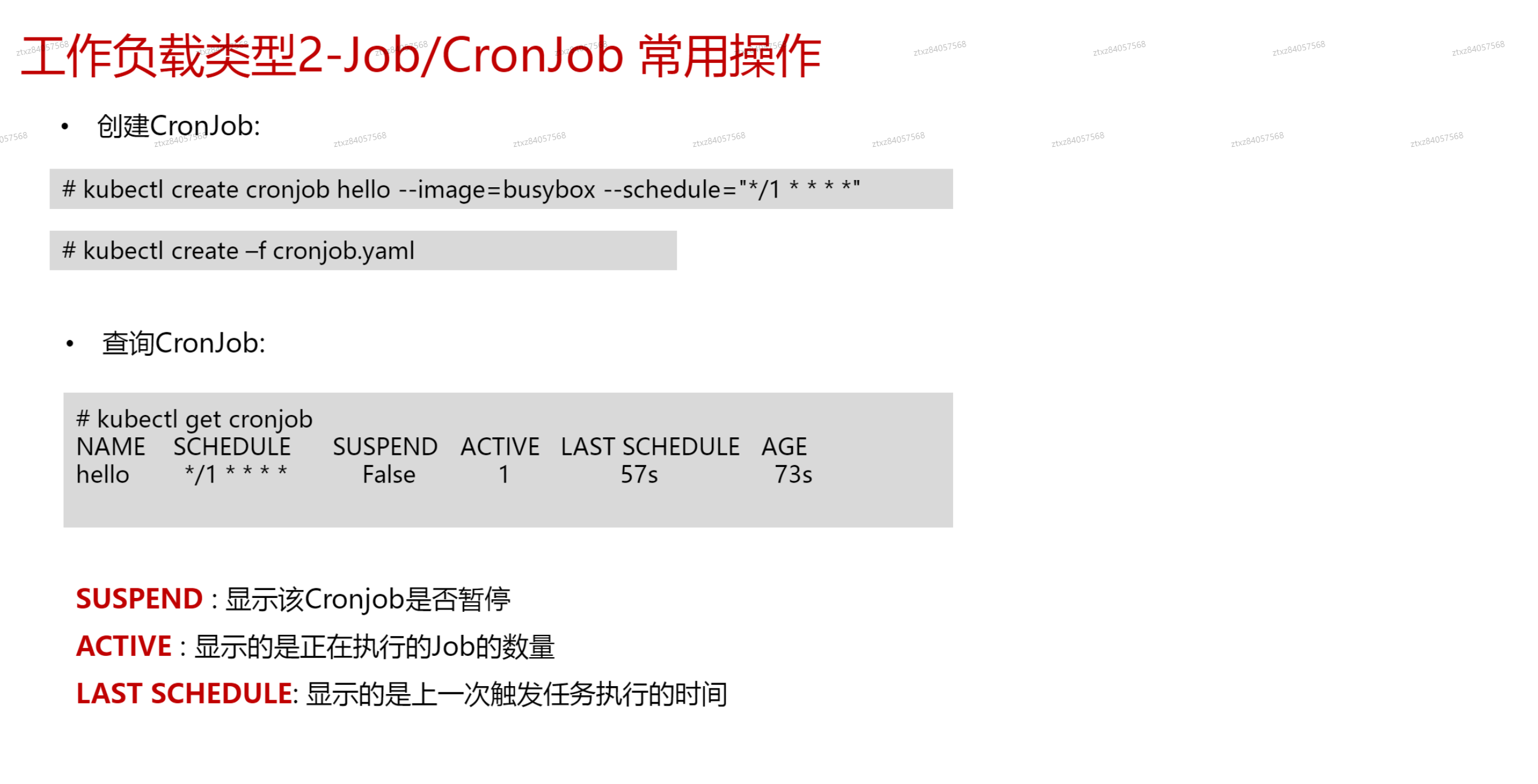 image-20241011191946648