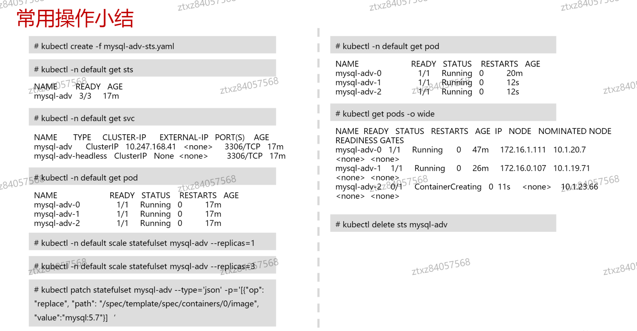 image-20241011193750165