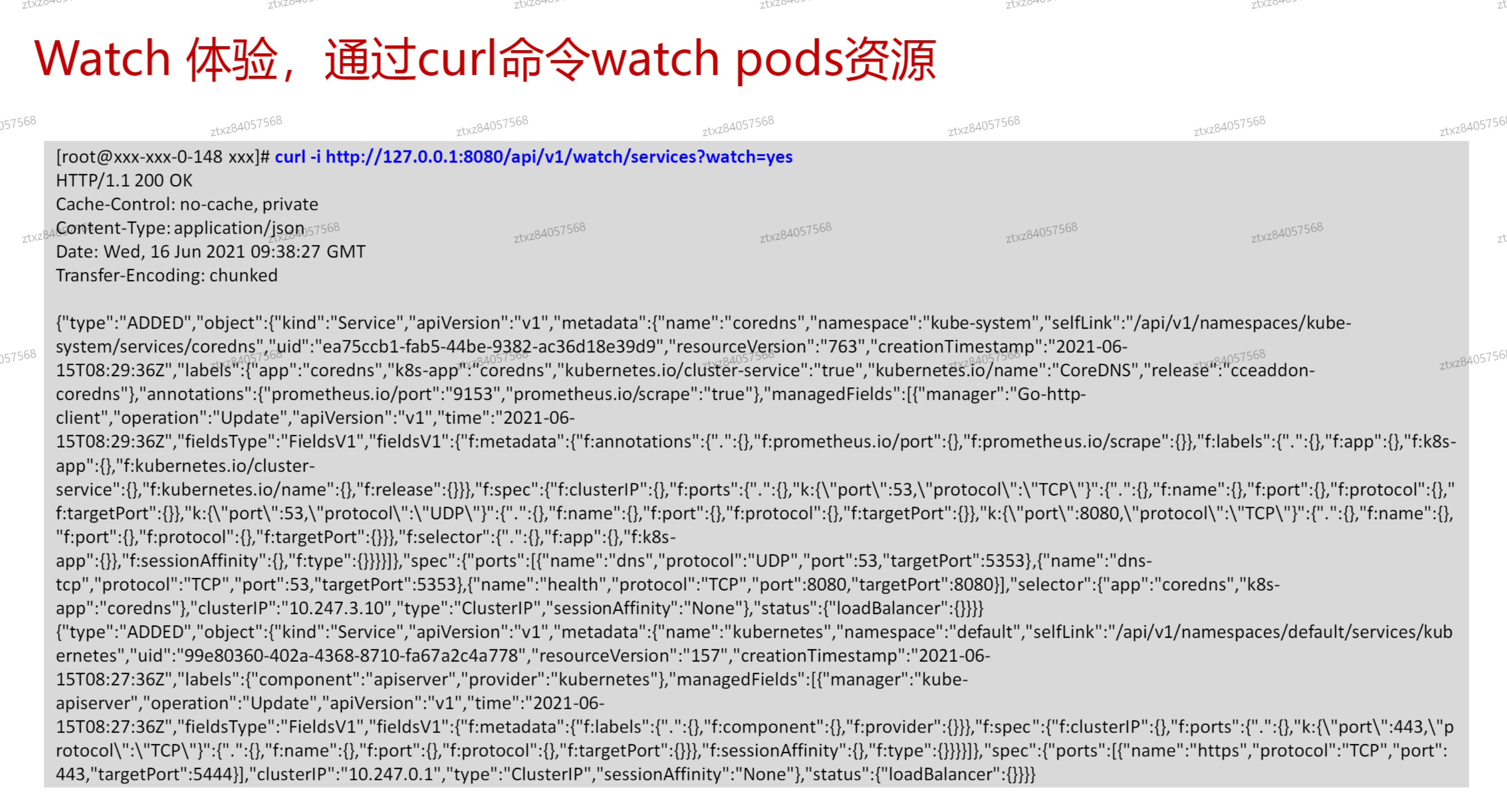 image-20241013140455951