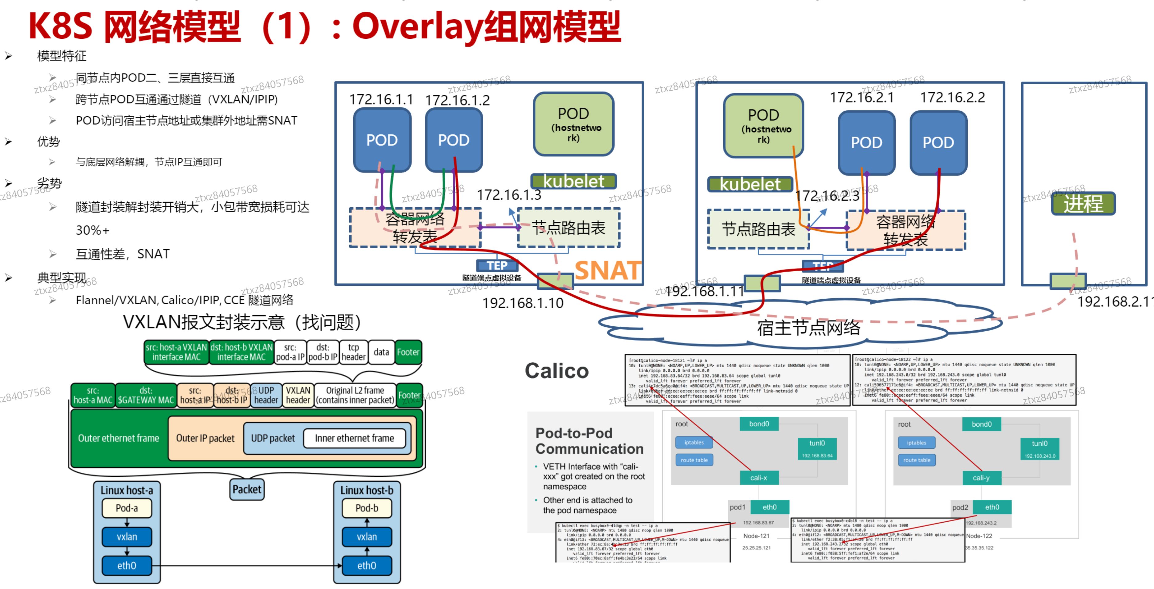 image-20241022213453546