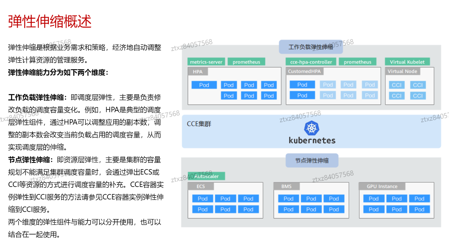 image-20241024215553138