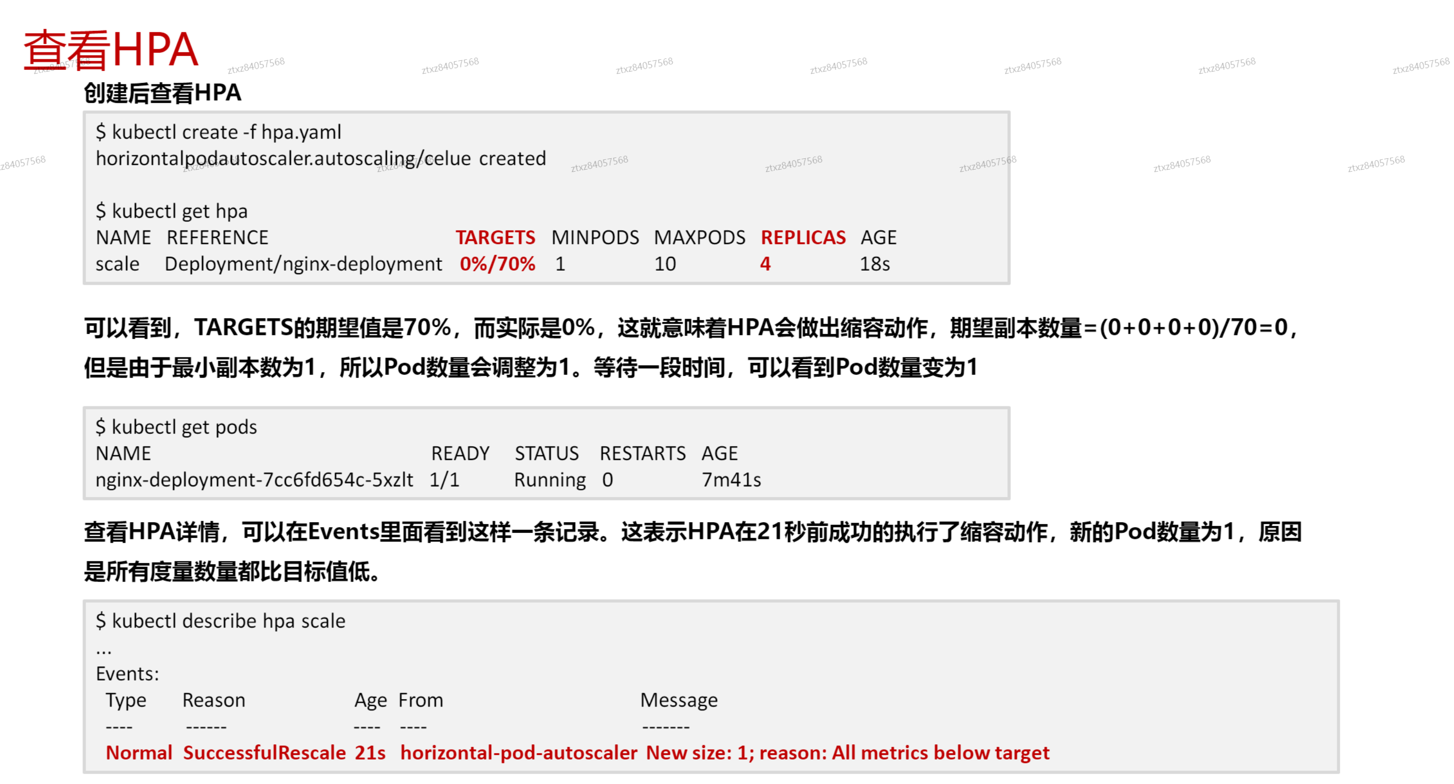 image-20241024215640639