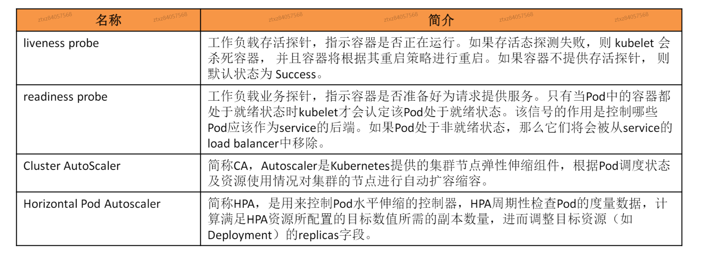 image-20241024215647904