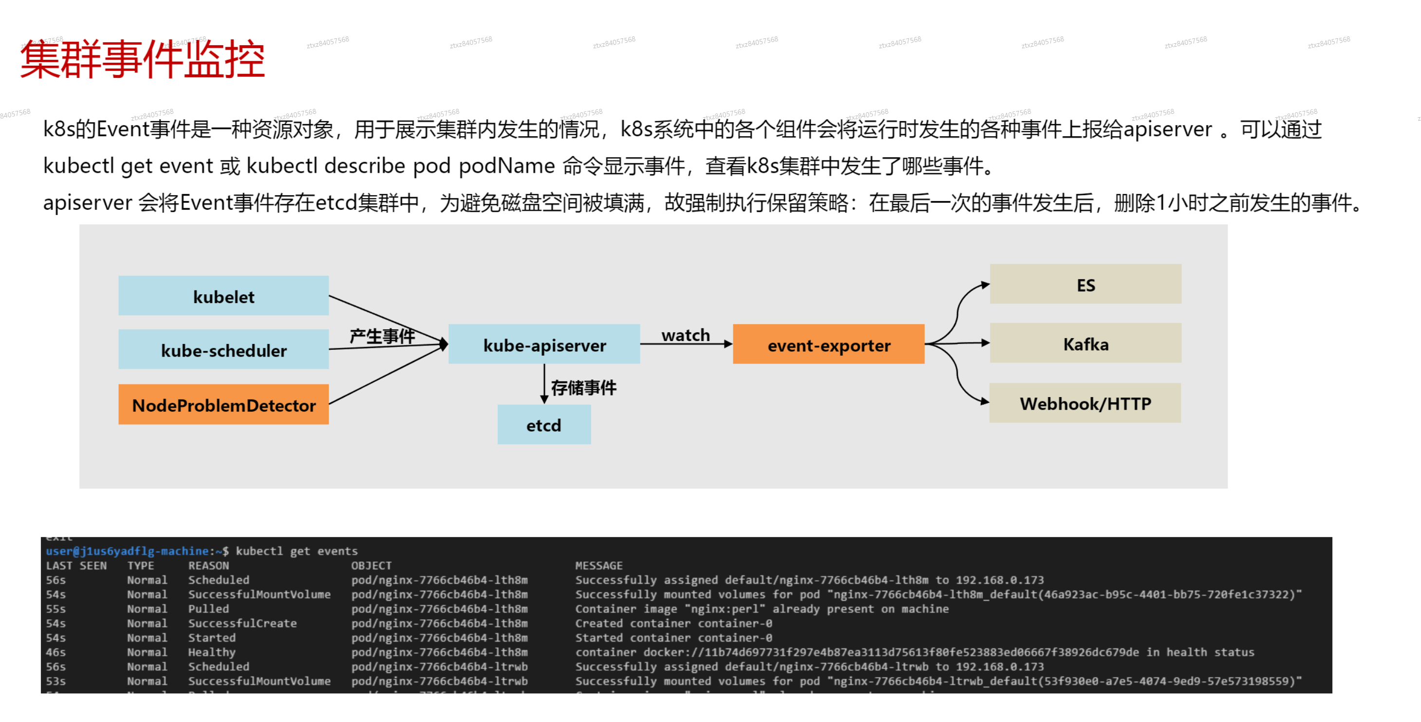 image-20241024220011744