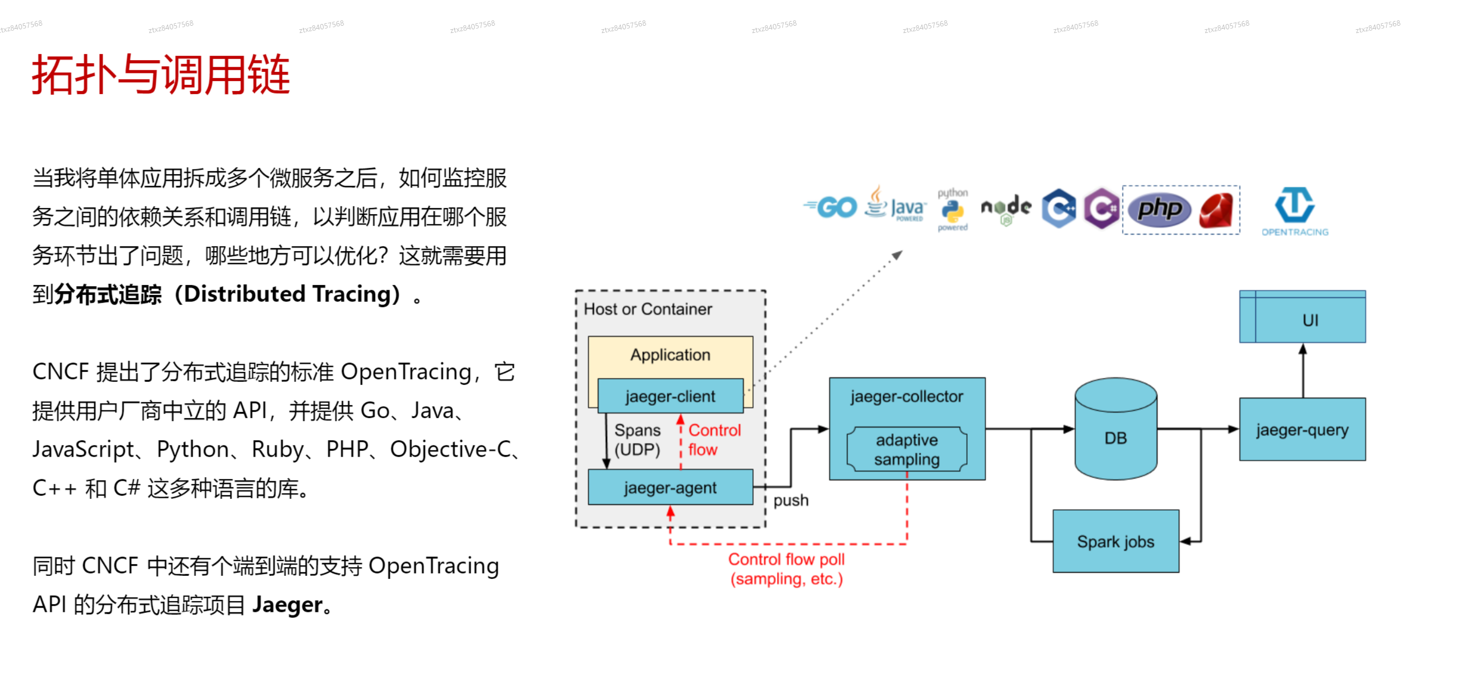 image-20241024220223759