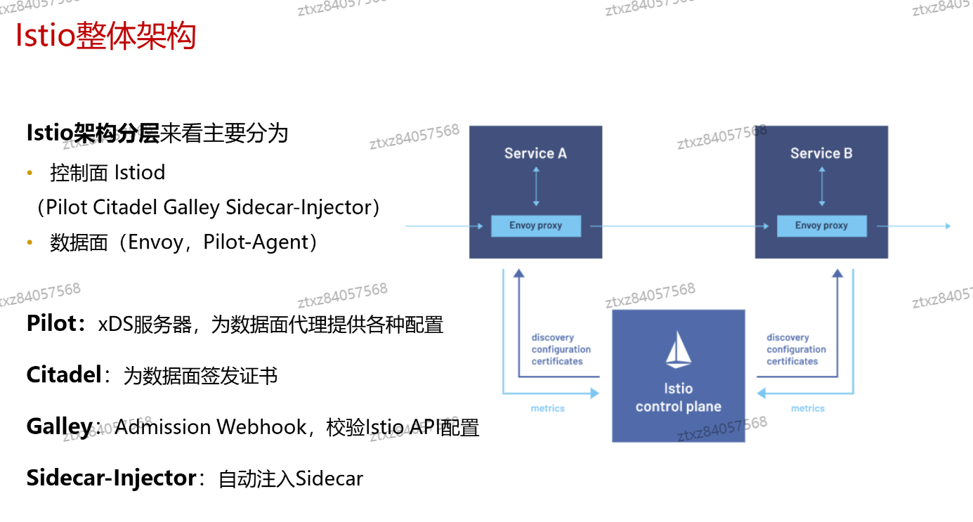 image-20241111213529491