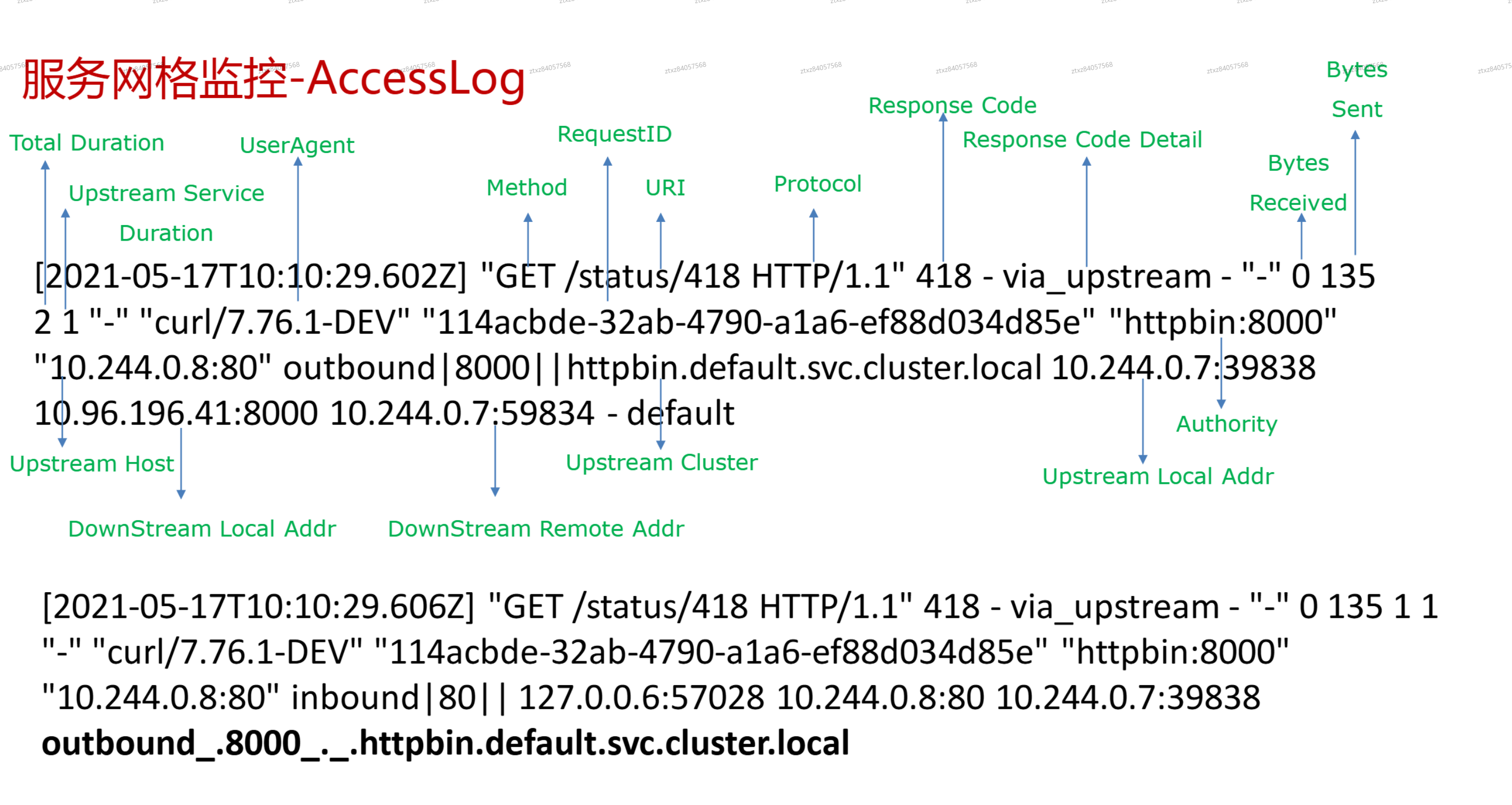image-20241119213345846